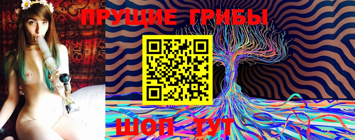 Галлюциногенные грибы Cubensis Узловая
