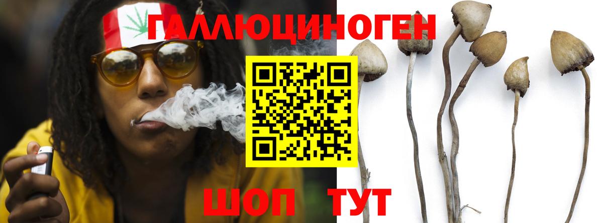 Псилоцибиновые грибы GOLDEN TEACHER  Вход с VPN  Узловая 